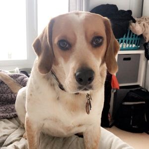 Meet your Posher, Samantha